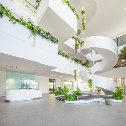 IB Ritzer Baustelle Wack Foyer